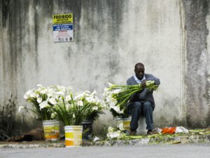 Facts About Overpopulation in Brazil