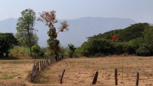 Drought: The World's Costliest Natural Disaster
