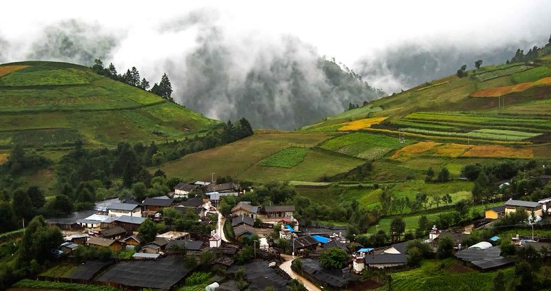 Poverty Reduction in China