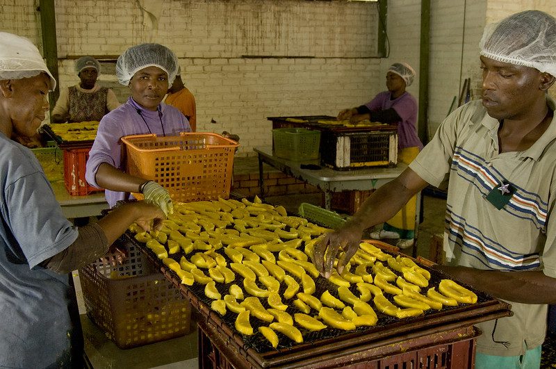 5 Fairtrade Products You Should Switch to Right Now
