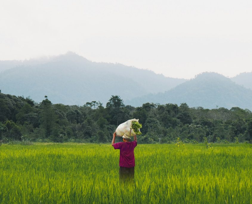 5 Organizations That Tackle Food Insecurity In Malaysia 