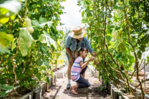 Permaculture Farming