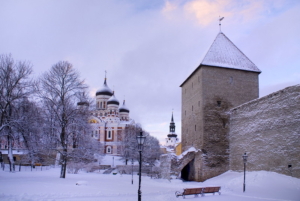 COVID-19’s Impact on Poverty in Estonia