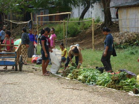 Tuberculosis in Timor-Leste