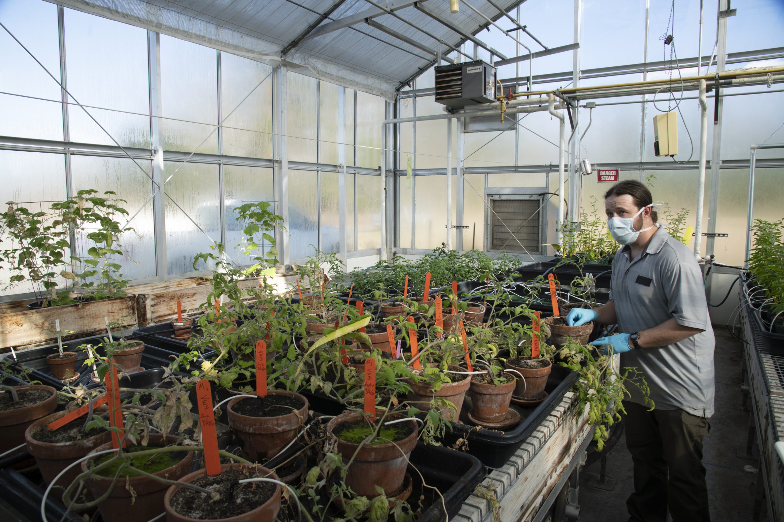 Empowering Singapore's Small-Scale Farmers