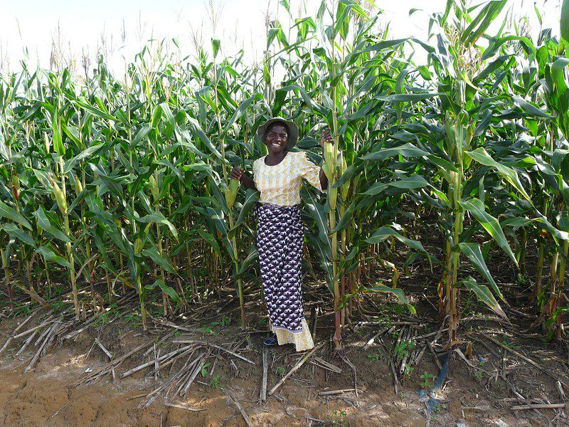 Agriculture in Malawi