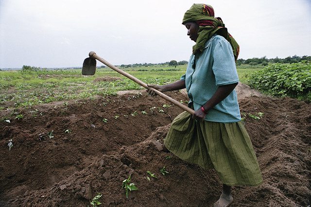 Agriculture in Africa
