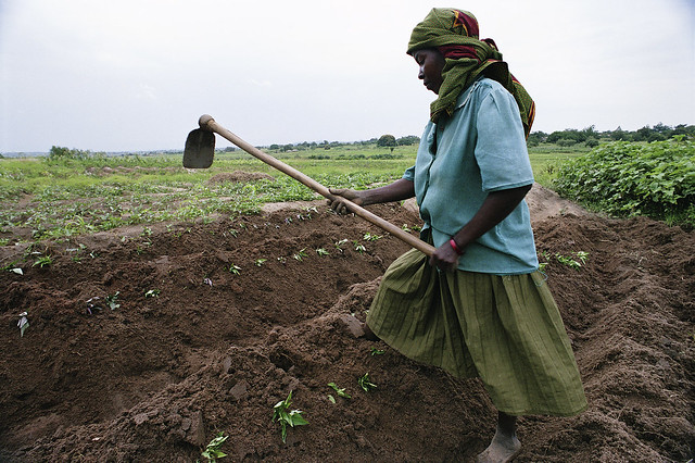 Agriculture in Africa