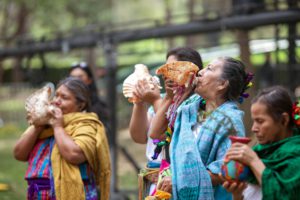 Microfinance in Mexico