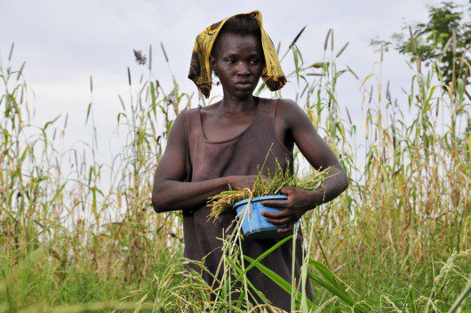 Senate Appropriations Committee Pushes Through Action on Green Climate Fund