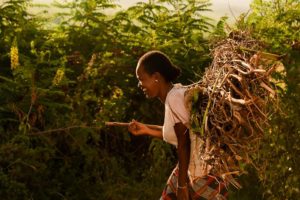 Agricultural Investment in Uganda