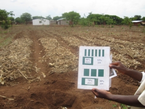 Agriculture in Malawi