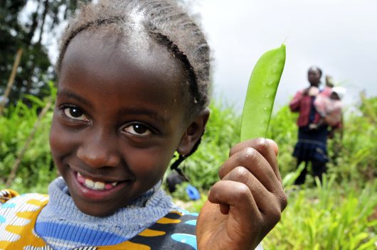 end hunger in Africa
