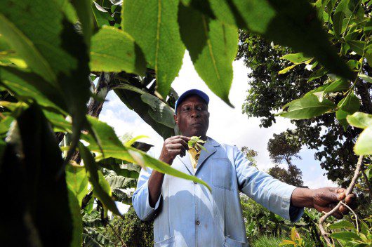 Kenya’s Rural Farmers Profiting from Carbon Credits