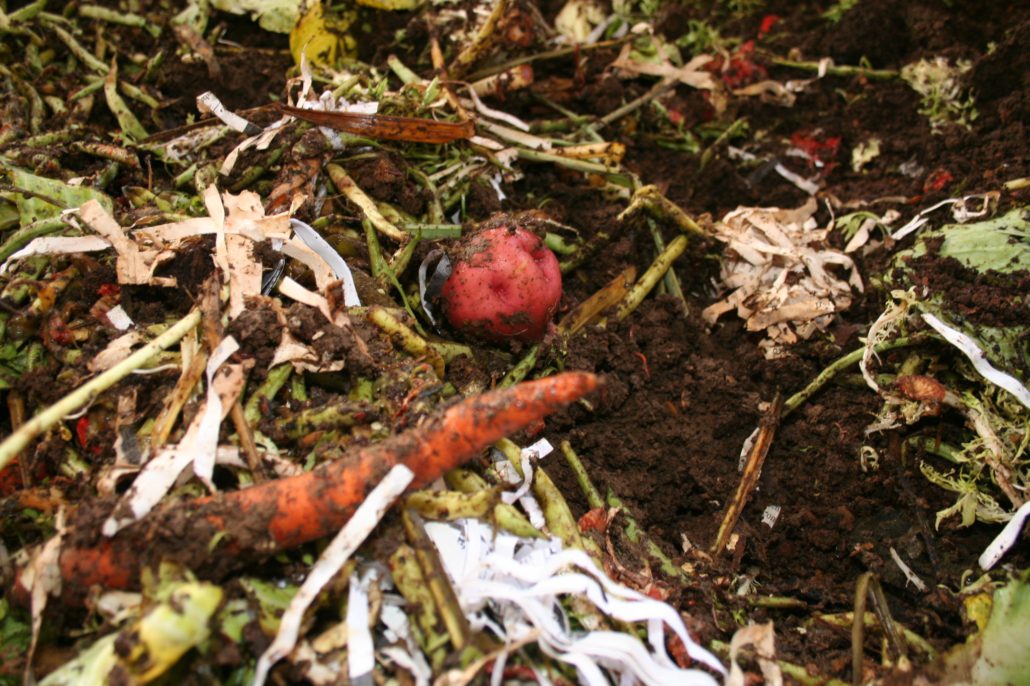 food waste in macedonia