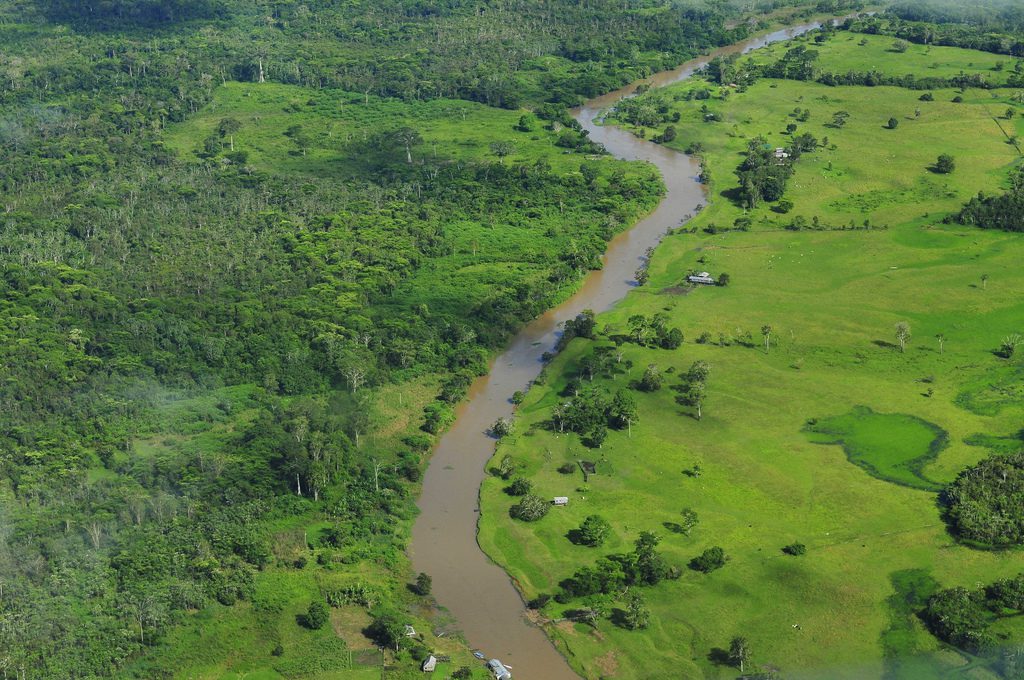 Deforestation in the Brazilian Amazon Drops for First the Time in Three Years