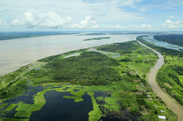 Indigenous Amazonian Tribe