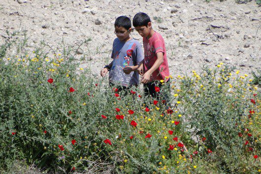 UNRWA Funding Gap May Prevent Palestinian Students from Going to School