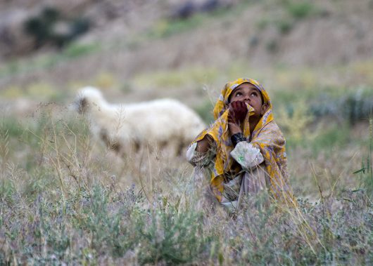 Movies about Hunger