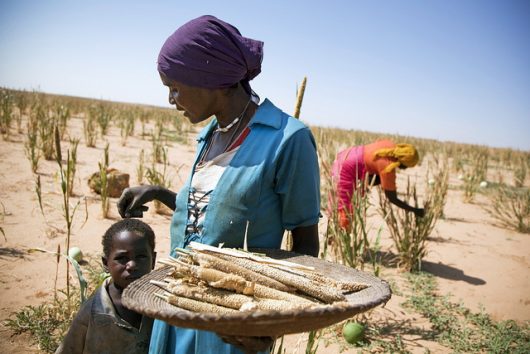girls’ education in Angola