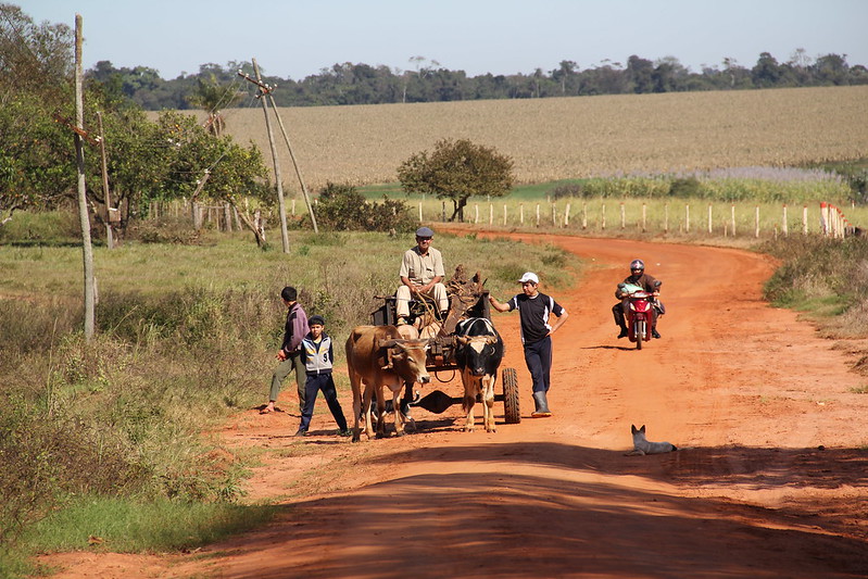 Healthcare in Paraguai