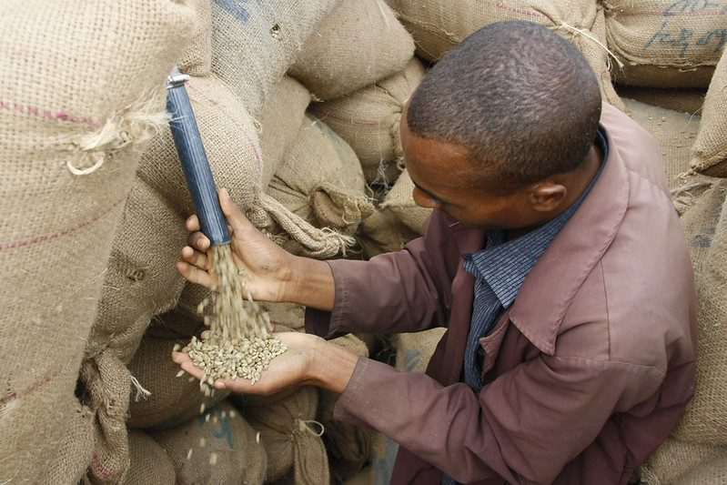 ethiopia coffee
