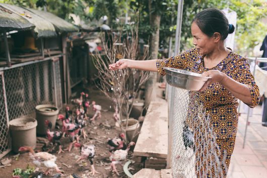 5 Areas Developing Countries Lead the World