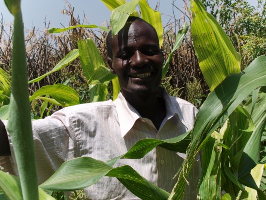 Africa_Climate_Plan