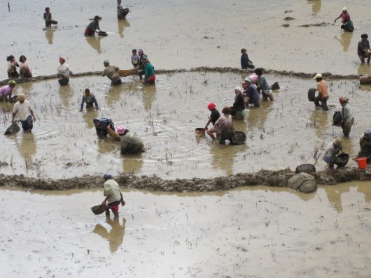 Quality in Madagascar