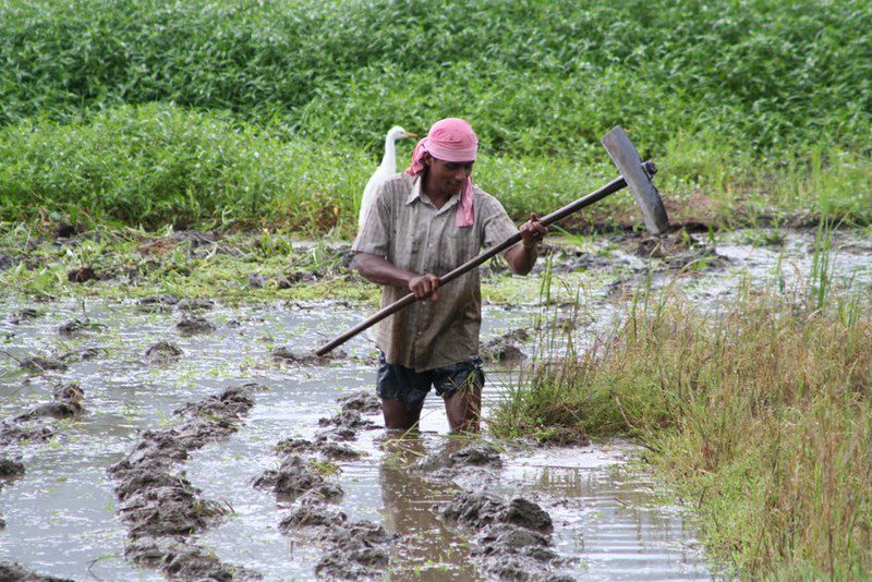 Food Systems in Sri Lanka