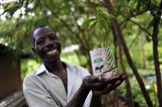 Democratic Growth in Burkina Faso
