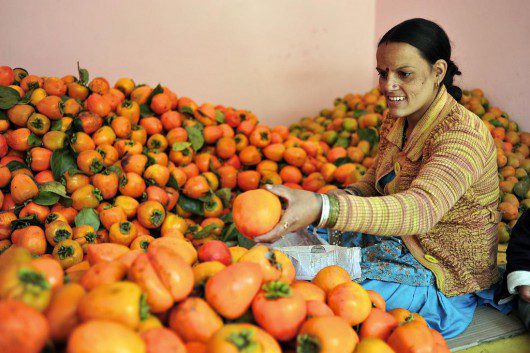 FoodSecure_Initiative