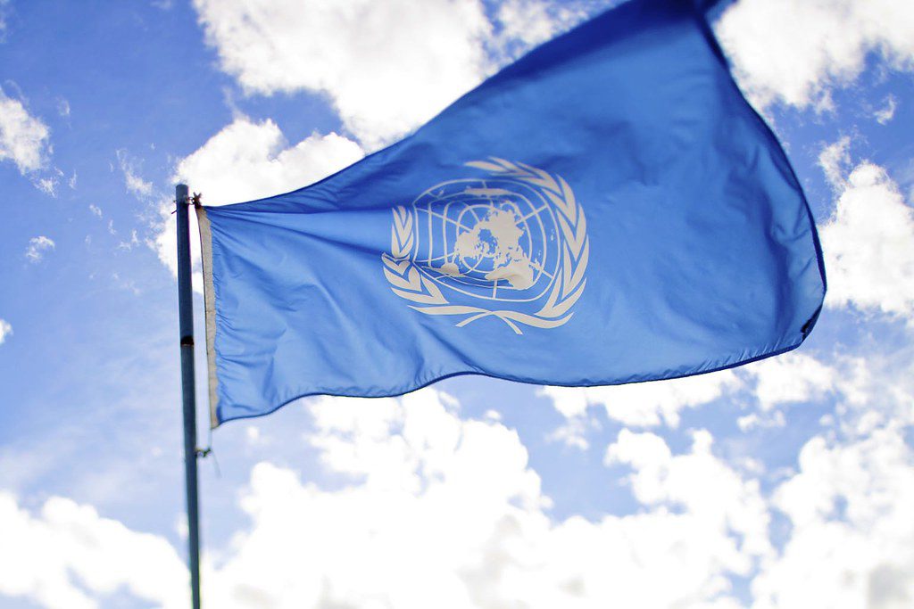 UNDP Goals