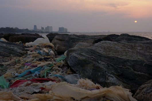 water pollution facts