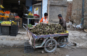Fragility and Rule of Law in Iraq