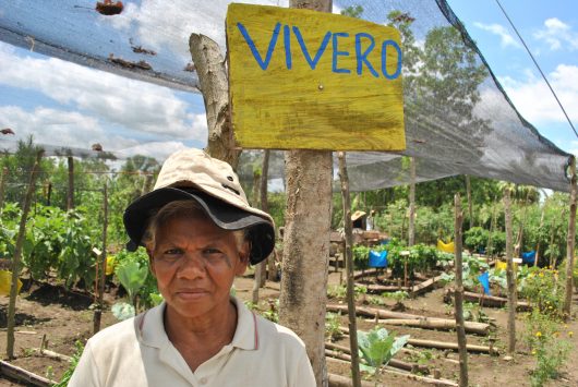 FARC Peace Deal