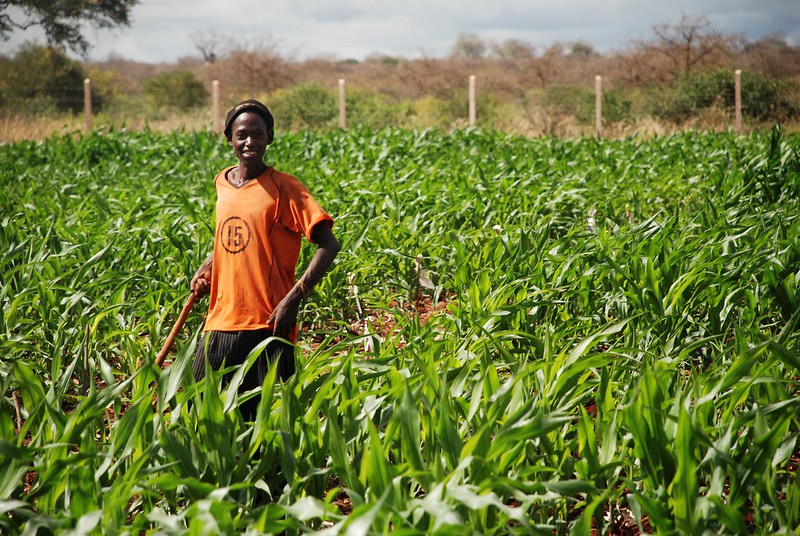 Food Security East Africa