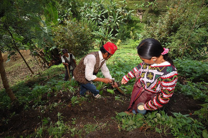Indigenous Agricultural Practices