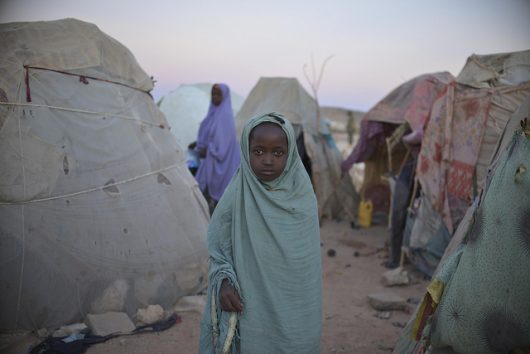 Rising Tide: Five Development Projects in Djibouti