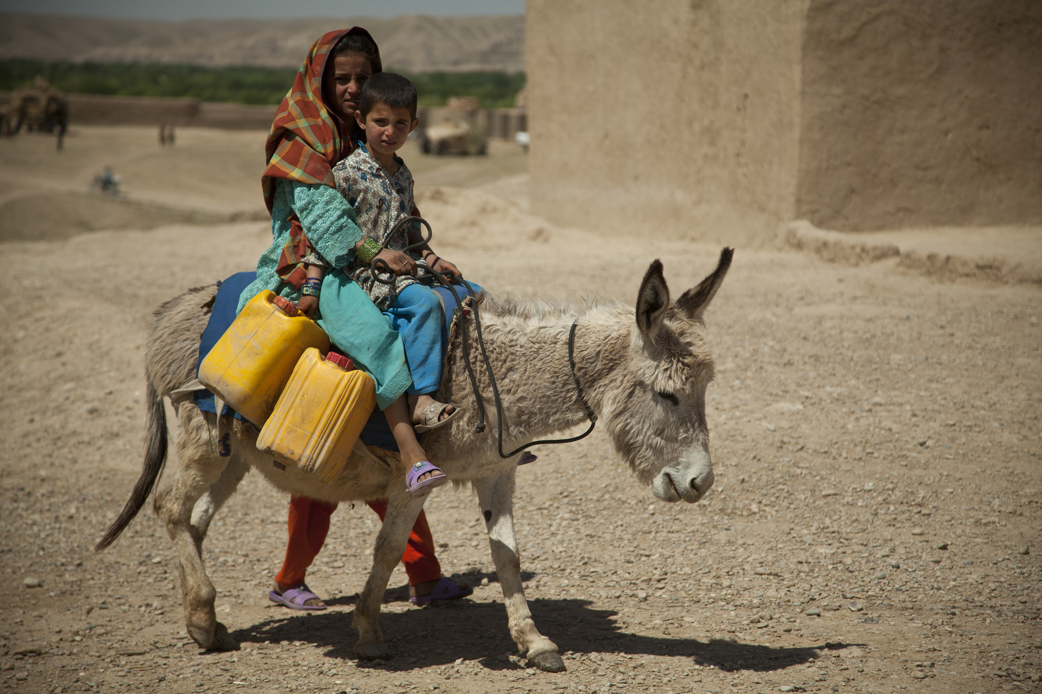 Afghan Journalists