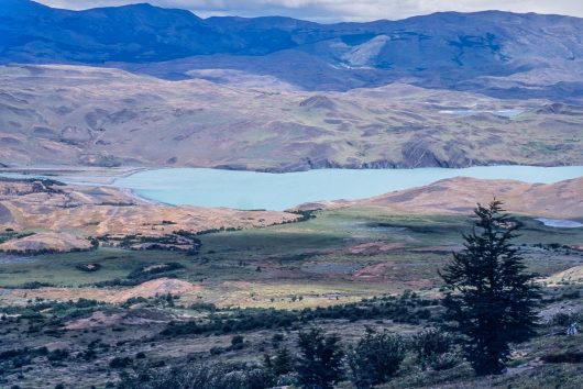 Top Diseases in Chile
