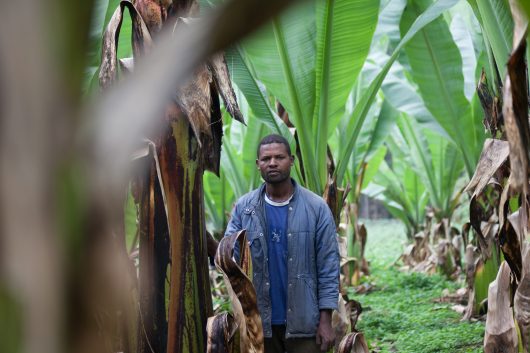 food security in Ethiopia