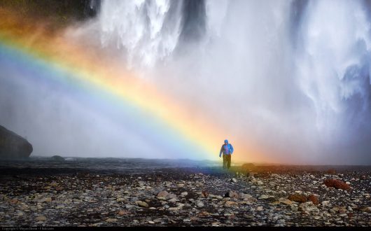Top Diseases In Iceland
