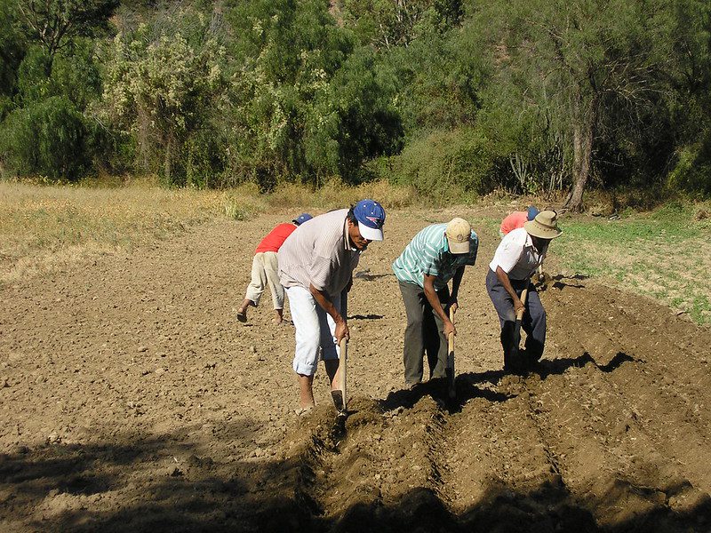 A Look at Sustainable Agriculture in Bolivia