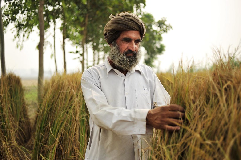 AI in Indian agriculture