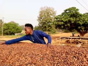 Food Systems in Ghana