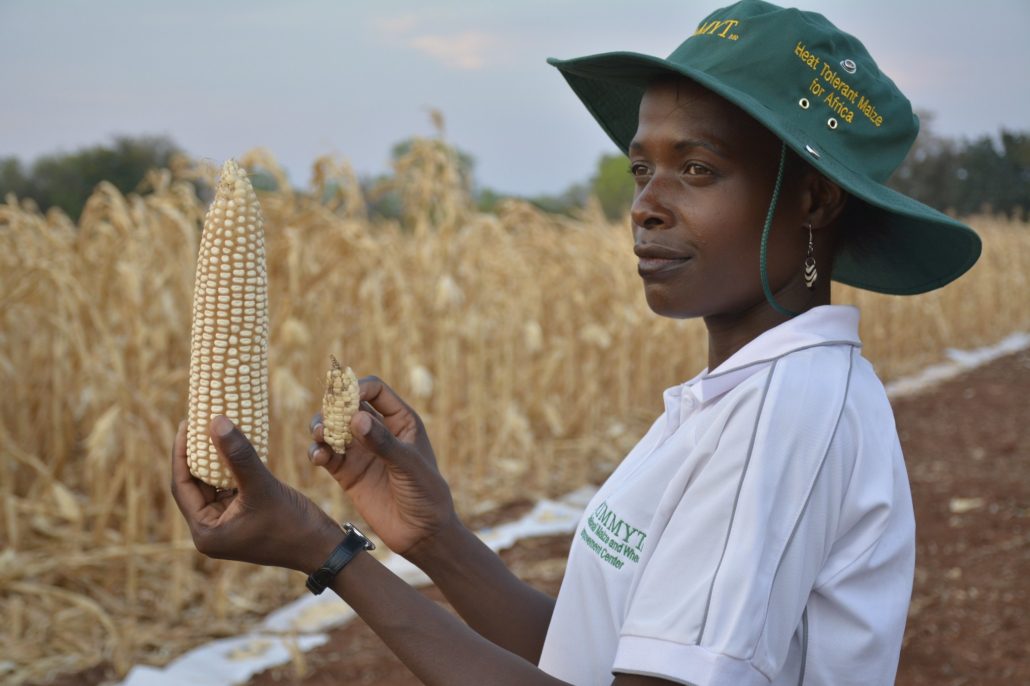 About Hunger in Zimbabwe