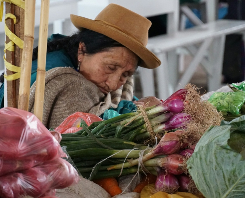 Addressing Food Insecurity in Honduras Under the CELAC 2030 Plan 