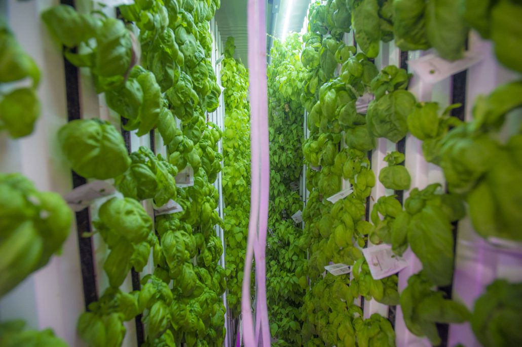 Advancements in Vertical Farming 