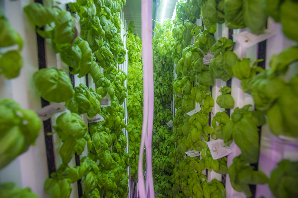 Advancements in Vertical Farming